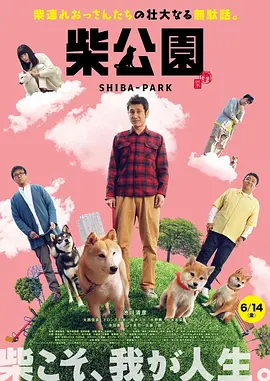 c秘书销魂h文