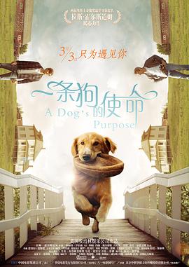 av超碰在线观看