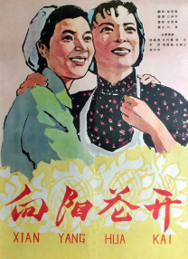 怡红院视频在线观看最新