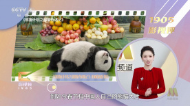空姐的诱惑